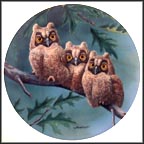 Three's Company: Long-Eared Owls Collector Plate by Joe Thornbrugh MAIN