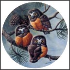 Forty Winks: Saw-Whet Owls Collector Plate by Joe Thornbrugh MAIN