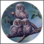 Out On A Limb: Great Gray Owls Collector Plate by Joe Thornbrugh MAIN