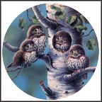The Tree House: Northern Pygmy Owls Collector Plate by Joe Thornbrugh MAIN
