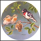 Today's Discoveries Collector Plate by Joe Thornbrugh MAIN
