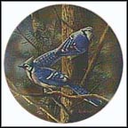 The Blue Jay Collector Plate by Kevin Daniel MAIN