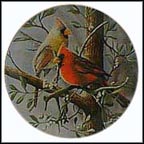 The Cardinal Collector Plate by Kevin Daniel MAIN