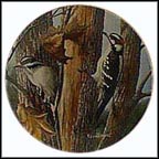 The Downy Woodpecker Collector Plate by Kevin Daniel MAIN