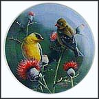 The Goldfinch Collector Plate by Kevin Daniel MAIN