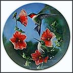 The Hummingbird Collector Plate by Kevin Daniel MAIN