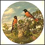 Baltimore Orioles In Summer Collector Plate by Sam Timm MAIN