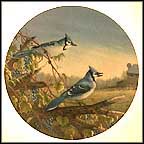 Blue Jays In Early Fall Collector Plate by Sam Timm MAIN
