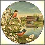 Bluebirds In Spring Collector Plate by Sam Timm MAIN