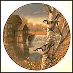 Nuthatches In Fall Collector Plate by Sam Timm MAIN