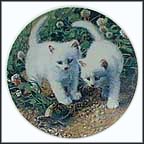 A Chance Meeting: White American Shorthairs Collector Plate by Amy Brackenbury MAIN