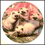 All Wrapped Up: Himalayans Collector Plate by Amy Brackenbury MAIN