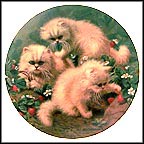 Strawberries And Cream: Cream Persians Collector Plate by Amy Brackenbury MAIN
