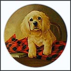 Shirt Tales - Cocker Spaniel Collector Plate by Lynn Kaatz MAIN
