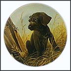 Command Performance - Weimaraner Collector Plate by Lynn Kaatz MAIN