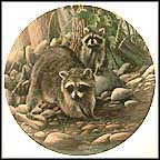 The Raccoon Collector Plate by Kevin Daniel MAIN