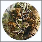 The Squirrel Collector Plate by Kevin Daniel MAIN