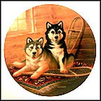 Lodging A Complaint Collector Plate by Lynn Kaatz MAIN