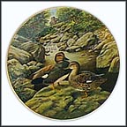 The Gadwall Collector Plate by Bart Jerner MAIN