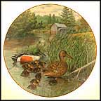 The Northern Shoveler Collector Plate by Bart Jerner MAIN