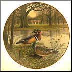 The Wood Duck Collector Plate by Bart Jerner MAIN