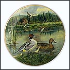 The Pintail Collector Plate by Bart Jerner MAIN