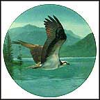 The Osprey Collector Plate by David Smith MAIN