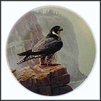 Peregrine Falcon Collector Plate by David Smith MAIN