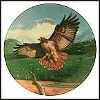 The Red-Tailed Hawk Collector Plate by David Smith MAIN