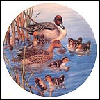 Race Ya Mom Collector Plate by Joe Thornbrugh MAIN