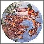 Taking The Plunge Collector Plate by Joe Thornbrugh MAIN