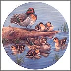 Time To Wake Up Collector Plate by Joe Thornbrugh MAIN