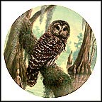 The Barred Owl Collector Plate by James Beaudoin MAIN