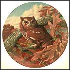 The Eastern Screech Owl Collector Plate by James Beaudoin MAIN