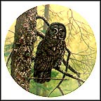 The Great Grey Owl Collector Plate by James Beaudoin MAIN