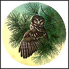 The Saw-Whet Owl Collector Plate by James Beaudoin MAIN