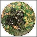 The Short-Eared Owl Collector Plate by James Beaudoin MAIN