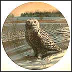 The Snowy Owl Collector Plate by James Beaudoin MAIN