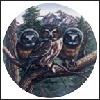 Vast View: Saw-Whet Owls Collector Plate by James Beaudoin MAIN