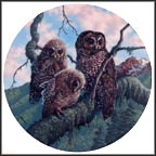 Woodland Watch: Spotted Owls Collector Plate by James Beaudoin MAIN