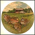 The Quail Collector Plate by Wayne Anderson MAIN