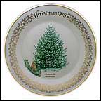 Balsam Fir Collector Plate MAIN