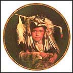 Feathers And Fur Collector Plate by Don Crowley MAIN