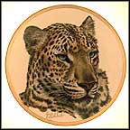 Chinese Leopard Collector Plate by Guy Coheleach MAIN