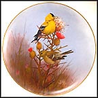 Gold Finch Collector Plate by Owen J. Gromme MAIN