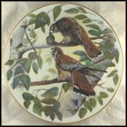 American Falcon Collector Plate by Jim Foote MAIN