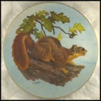 Fox Squirrel Collector Plate by Lee LeBlanc MAIN