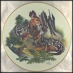 White-Tailed Fawns Collector Plate by Richard Timm MAIN