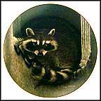 Bandy Bandit Collector Plate by Sally Miller MAIN