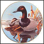 Canvasbacks Collector Plate by Rod Lawrence MAIN